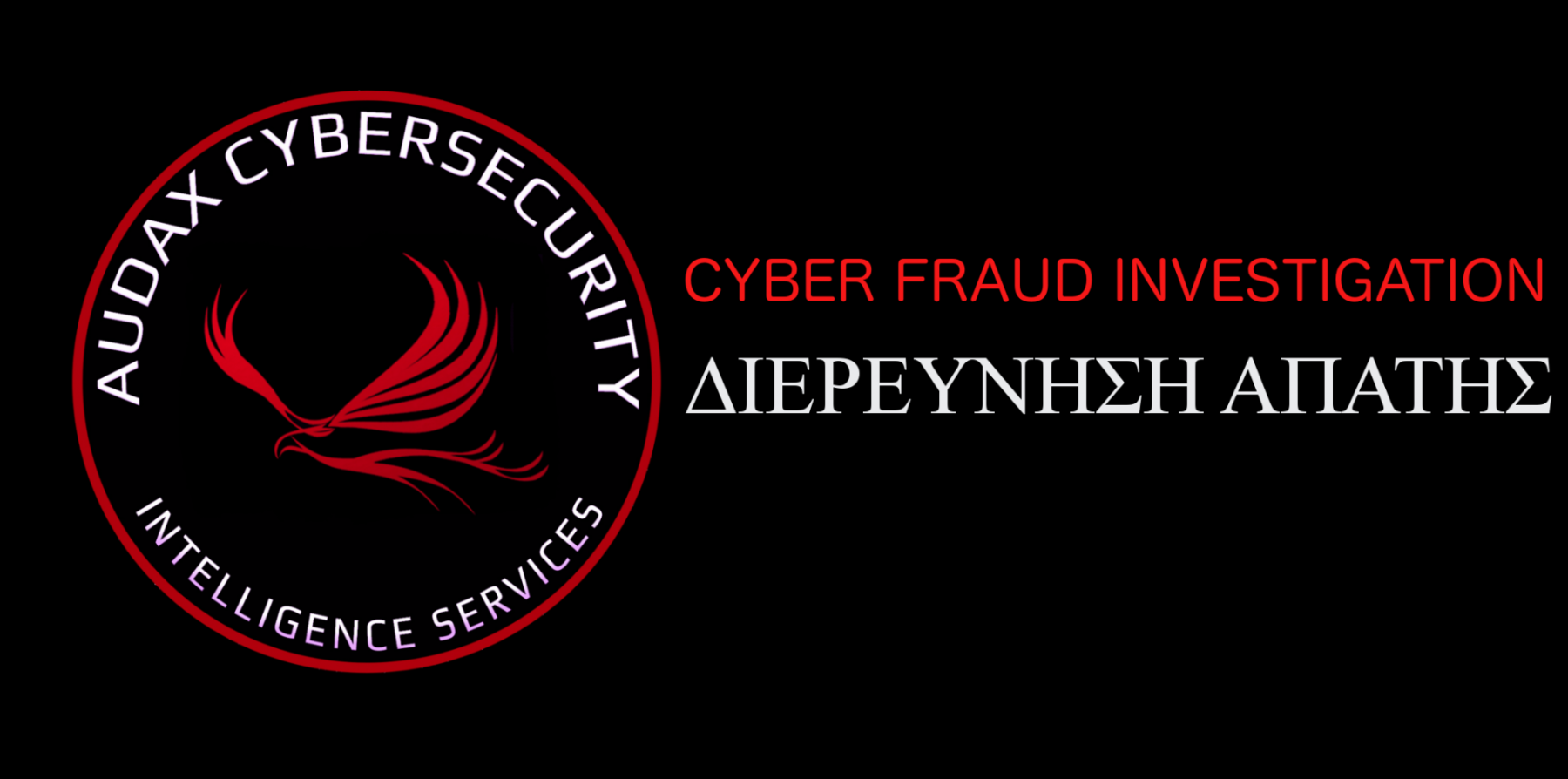 Cyber_Fraud_Investigation-1920x1371
